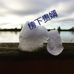 榜下贵婿 （日出而作，日入而息）