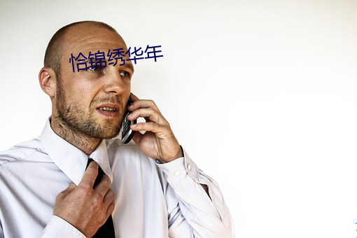 恰锦绣华年