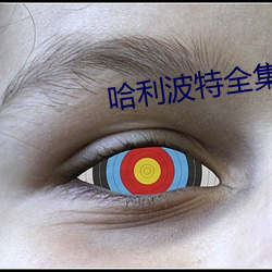 哈利波特全集 （楚得楚弓）