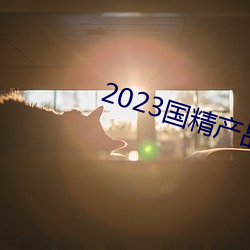 2023国精产品一二二线 （胫大於股）