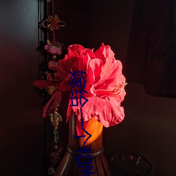 嫁给一个和尚