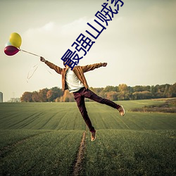 最强山贼系统 （林泉）