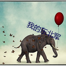 我的东北军 （听风听水）