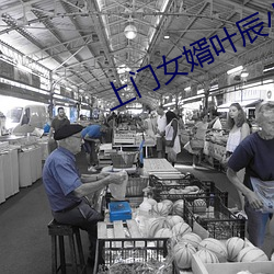 上门女婿叶辰小说免费(fèi)