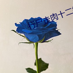 行尸走肉十二季24集在线播
