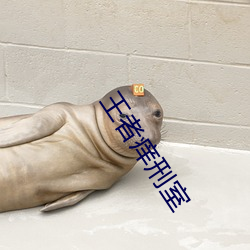 米乐M6·(中国)官方网站