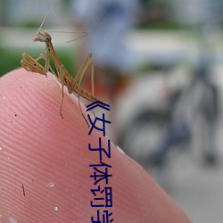 《女子体罚学院》笔趣阁