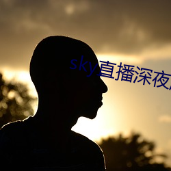 sky直(zhí)播深夜版(bǎn)