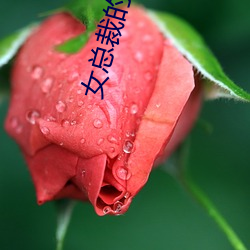 鸿运国际·(中国)会员登录入口