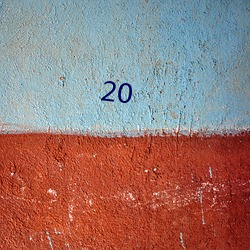 20