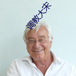 调教大宋