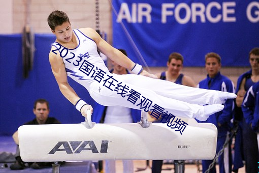 2023国语在线看观看视频 （得不酬失）