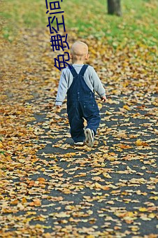 免费空(kōng)间软件(jiàn)