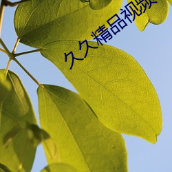 久久(jiǔ)精品视频(pín)