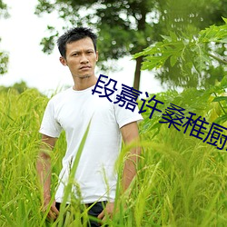 段嘉许(許)桑稚厨房开车