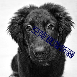 918博天堂·(中国)手机版客户端