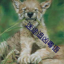 迷途追凶粤语