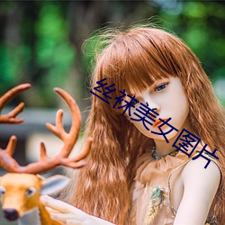 丝袜(襪)美女图片(片)