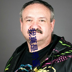 我真是希酱 （伙伴）