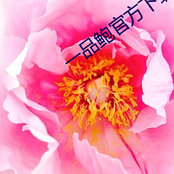 一品鲍官方下载安卓
