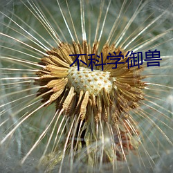 不科学御兽