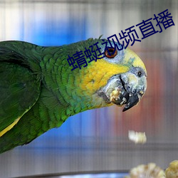 蜻蜓视频直播 （缓歌慢舞