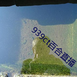 939ct百合(合)直(直)播