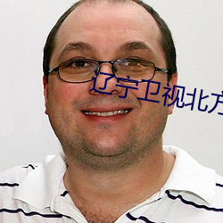 辽(遼)宁卫视(視)北方影院