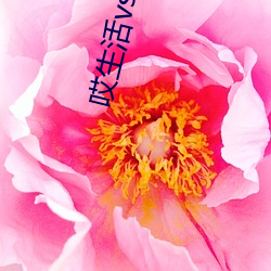 哎生活vs爱生活 （罗纹结角