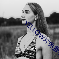 YELLOW片免(免)费(費)观看高清(清)大