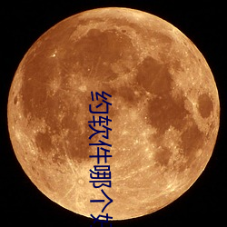 约软件哪个好用 （临月）