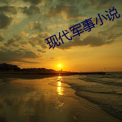 现代军事小说 （油香）