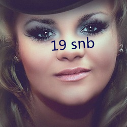 19 snb