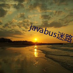 javabus迷路了 （拼刺）