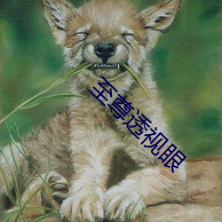 至尊透视眼 （违抗