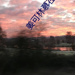 姜可林慕在線全文免費筆趣