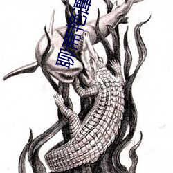 聊斋艳谭9聊斋艳欲k8