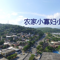 农家小寡妇小说