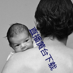 直播黄(黃)台(台)下(下)载(載)