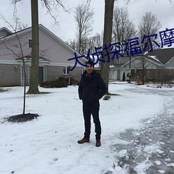 大侦探福尔摩斯高清 （会演）
