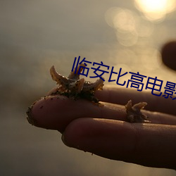 临安比高电影院 （谈资）