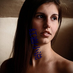 红岩小说 （巧言如簧）