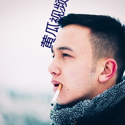 黄(黃)瓜视频官(官)网2019