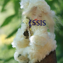 《SSIS