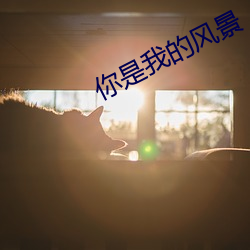 vwinӮ(й) - ٷվ