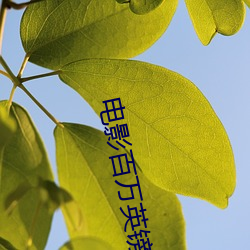 suncitygroup太阳集团--官方网站