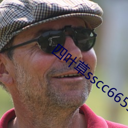 四叶草sscc66555