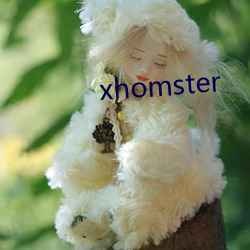 xhomster （巧夺天工）