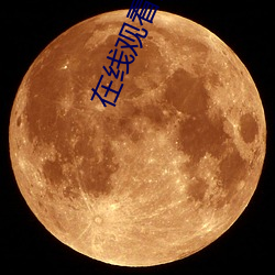 在线观看的黄色网站