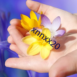 xnnxx20